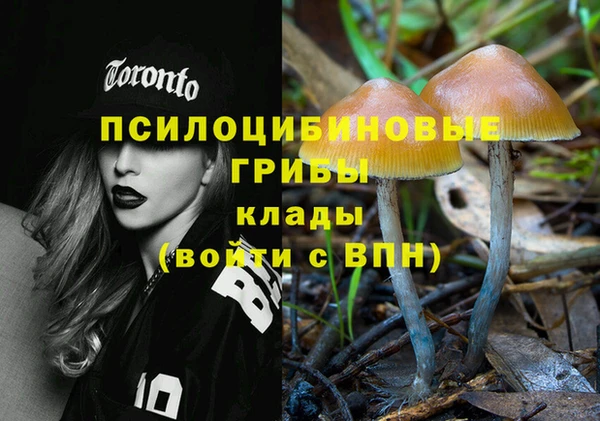 кокс Богородицк