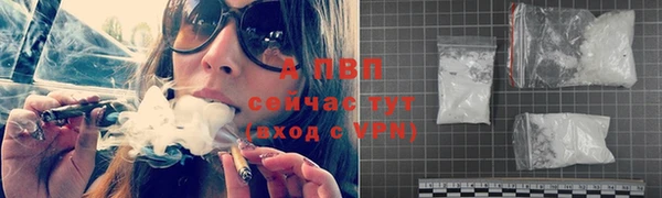 кокс Богородицк