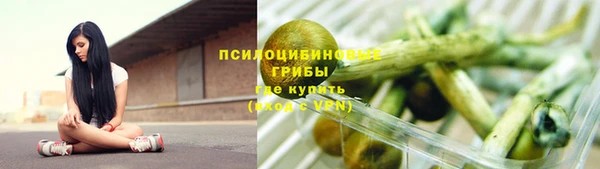 кокс Богородицк