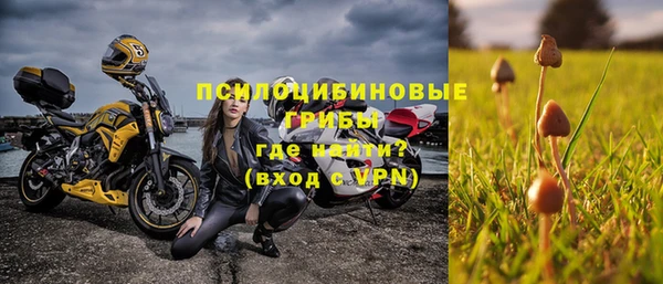 кокс Богородицк
