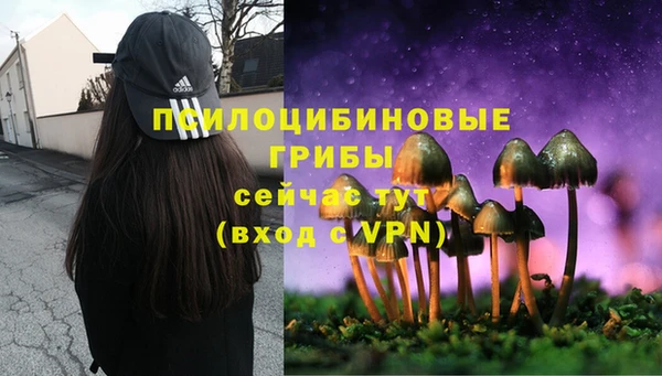 apvp Богородск