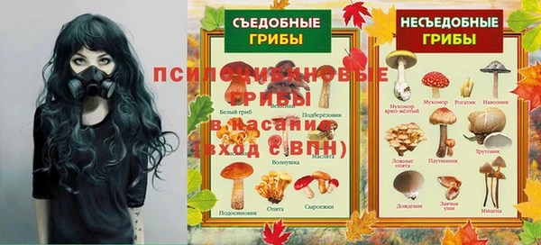 кокс Богородицк
