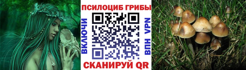 Псилоцибиновые грибы GOLDEN TEACHER  Энем 